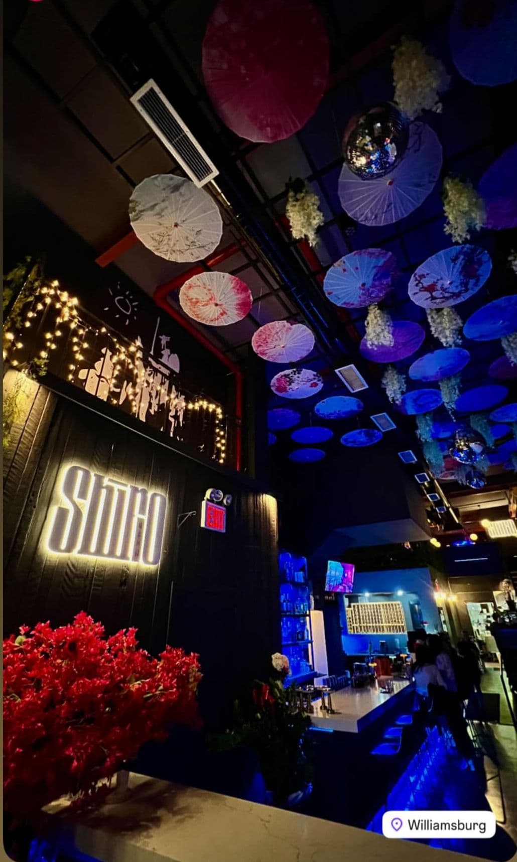 SHIRO interior dining atmosphere
